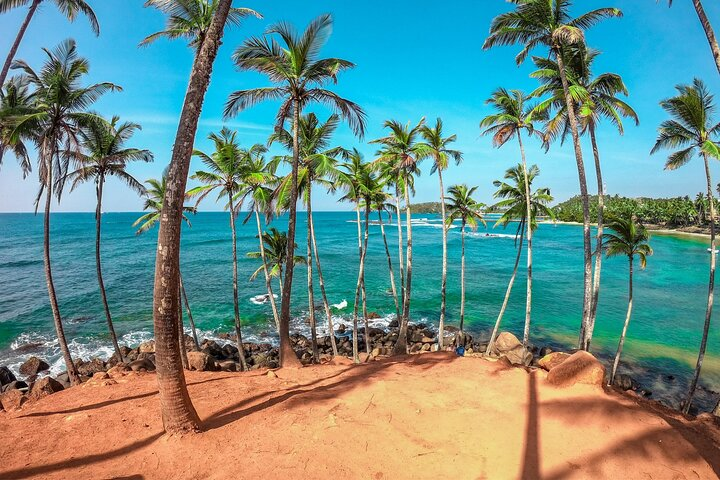 Coconut hill Sri Lanka